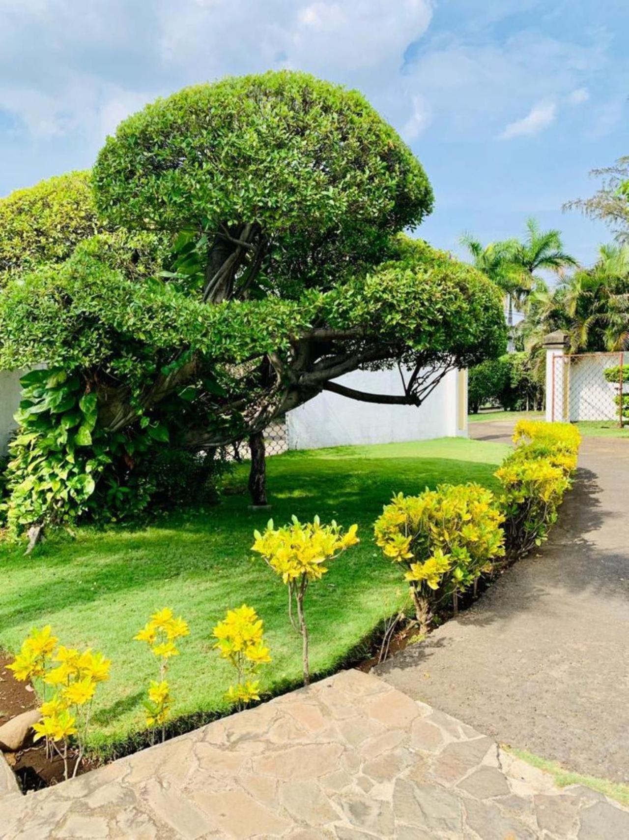 Hotel Casa Del Sol Managua Buitenkant foto